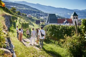 Con la primavera che sboccia nei vigneti italiani, inizia la &ldquo;bella stagione&rdquo; dell&rsquo;enoturismo