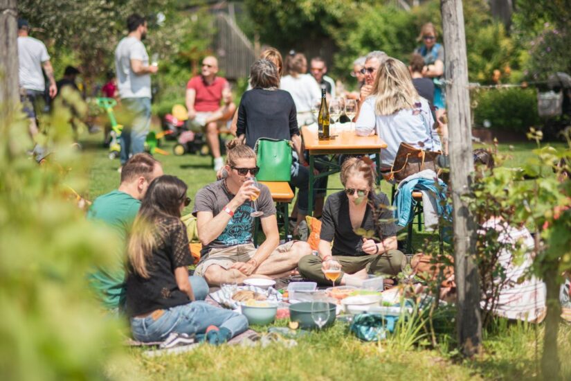 “Il Sabato del Vignaiolo”, il racconto dei Vignaioli Indipendenti della Fivi diffuso in luoghi speciali d’Italia