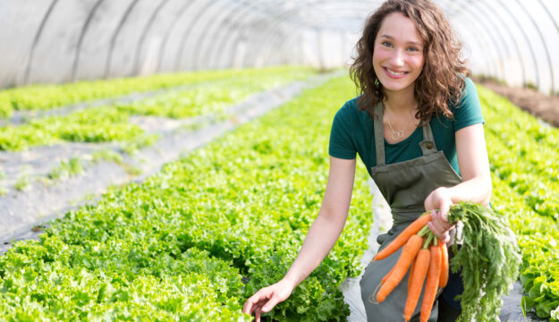 &ldquo;Generazione Terra&rdquo;, 120 milioni di euro per il ricambio generazionale in agricoltura in Italia
