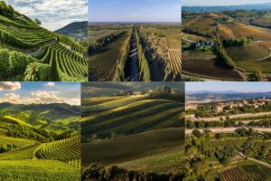 &ldquo;The Wealth Report 2026&rdquo; by &ldquo;Knight Frank&rdquo;: i vigneti tra gli asset alternativi pi&ugrave; strategici