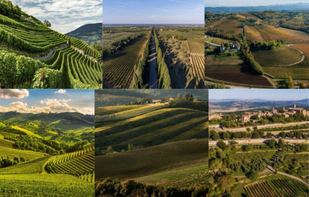 ALTO ADIGE, BAROLO, BOLGHERI, CHIANTI CLASSICO, FRIULI, INVESTIMENTI, ITALIA, KNIGHT FRANK, MONTALCINO, THE WEALTH REPORT, VIGNETI, vino, Italia