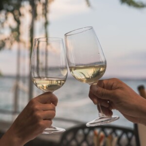 Nasce &ldquo;Lugana Vitae&rdquo;, il progetto di studio sul pedoclima del vino storico del Lago di Garda