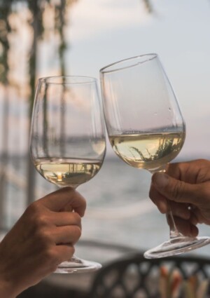 Nasce &ldquo;Lugana Vitae&rdquo;, il progetto di studio sul pedoclima del vino storico del Lago di Garda