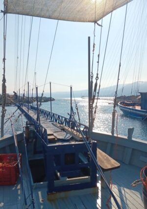 Pescatori per un giorno: la vacanza autentica nei mari italiani che sfida crisi e caro-voli