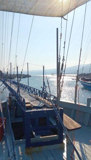 Pescatori per un giorno: la vacanza autentica nei mari italiani che sfida crisi e caro-voli