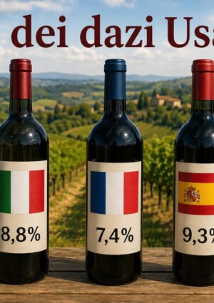 Nel 2025 la &ldquo;media&rdquo; dei dazi Usa per il valore del vino italiano importato &egrave; stata dell&rsquo;8,8%