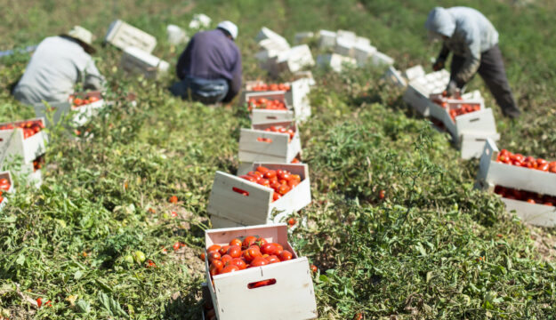 Agricoltura e lavoro, le aliquote antinfortunistiche Inail ridotte dal 13% all&rsquo;8,5%