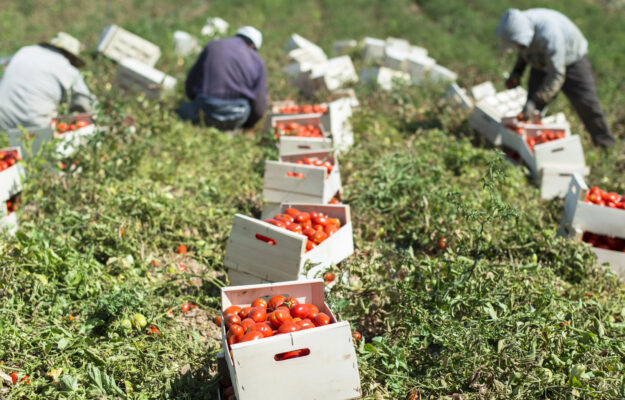 AGRICOLTURA, Coldiretti, Confagricoltura, INAIL, LAVORO, Non Solo Vino
