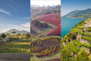 &ldquo;Campania Stories&rdquo;: il vino di Campania nei calici e tra la bellezza della Reggia di Caserta