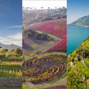 &ldquo;Campania Stories&rdquo;: il vino di Campania nei calici e tra la bellezza della Reggia di Caserta