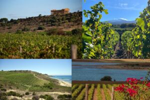 La Sicilia del vino scommette sempre di pi&ugrave; (vincendo) sull&rsquo;enoturismo. Il focus Assovini