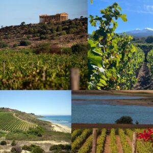 La Sicilia del vino scommette sempre di pi&ugrave; (vincendo) sull&rsquo;enoturismo. Il focus Assovini
