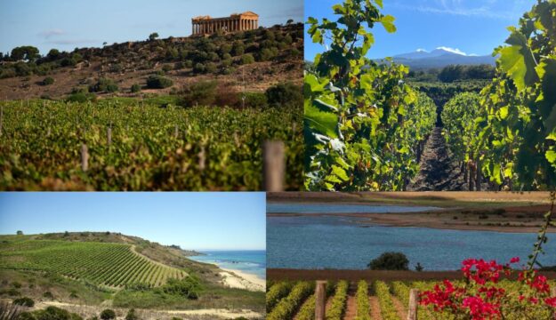 Sicily of wine increasingly bets more on wine tourism (winning). Assovini focus