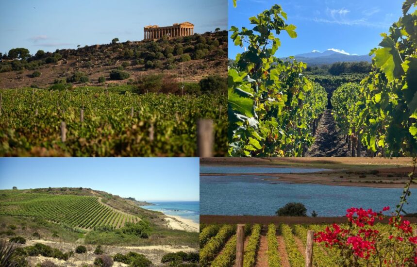 Assovini, la Sicilia del vino scommette (e vince) sull’enoturismo