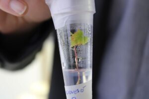 Un&rsquo;impresa vinicola su 3 ha investito nell&rsquo;applicazione in vigna o in cantina del digitale