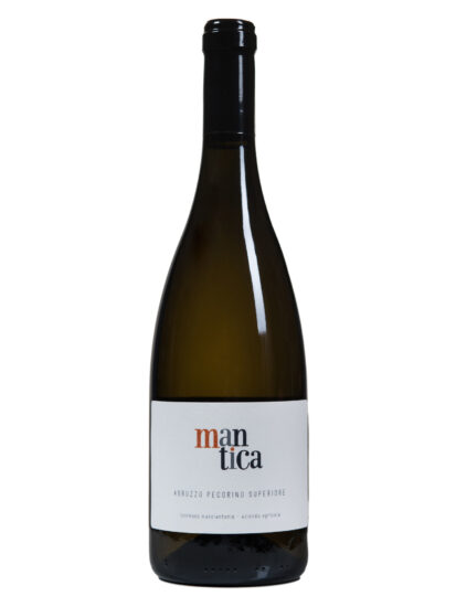 ABRUZZO, PECORINO, TERRE DI CHIETI, TOMMASO MASCIANTONIO, Su i Vini di WineNews