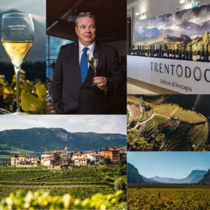 Il Trentodoc brinda alla stabilit&agrave;: nel 2025 valori a 180 milioni di euro, tengono i volumi