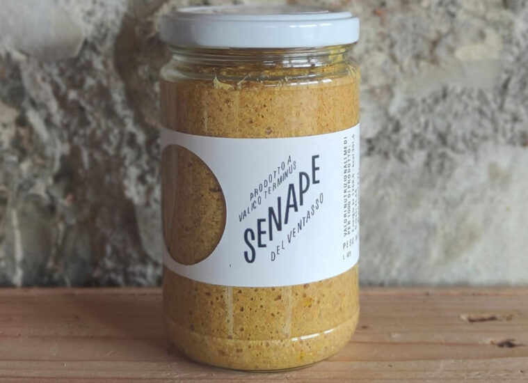 CANOSSA, REGGIO EMILIA, SENAPE DEL VENTASSO, VALICO TERMINUS, La dispensa, Su i Vini di WineNews