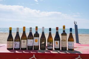 Il Vermentino, l&rsquo;ambasciatore pi&ugrave; dinamico ed autentico delle diverse anime della Maremma