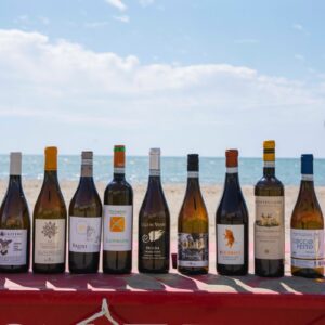 Il Vermentino, l&rsquo;ambasciatore pi&ugrave; dinamico ed autentico delle diverse anime della Maremma