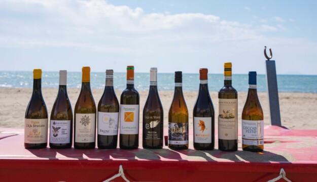 Il Vermentino, l&rsquo;ambasciatore pi&ugrave; dinamico ed autentico delle diverse anime della Maremma