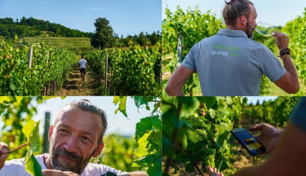 Vigneti: solo 11 su oltre 2.000 sono i &ldquo;Platinum&rdquo; d&rsquo;Italia e del Mediterraneo per l&rsquo;Indice Bigot