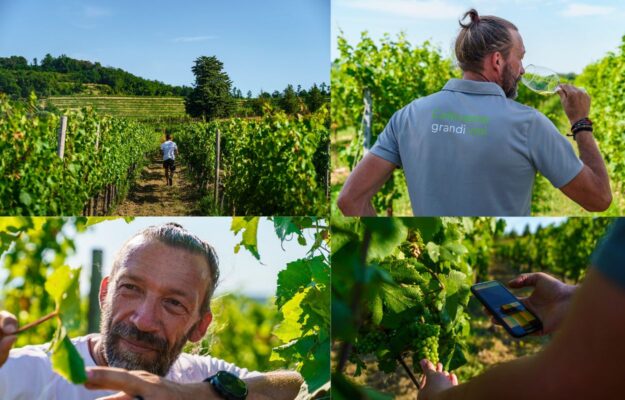 CUSUMANO, INDICE BIGOT, MICHELE SATTA, RAINOLDI, SANDRONE, SIMCIC, VIGNETI, vino, Italia