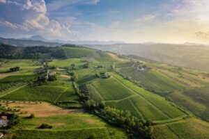 La longevit&agrave; del Verdicchio Riserva dei Castelli di Jesi: emblema di un territorio, stile e persone