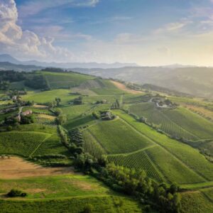 La longevit&agrave; del Verdicchio Riserva dei Castelli di Jesi: emblema di un territorio, stile e persone