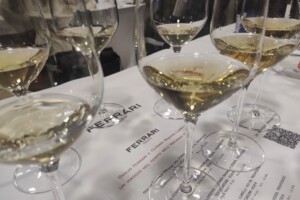 Trentodoc Giulio Ferrari e Ferrari Riserva Lunelli: un viaggio nel tempo nell&rsquo;&ldquo;Archivio di Famiglia&rdquo;