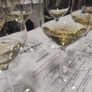 Trentodoc Giulio Ferrari e Ferrari Riserva Lunelli: un viaggio nel tempo nell&rsquo;&ldquo;Archivio di Famiglia&rdquo;