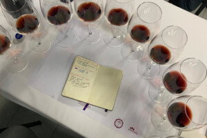 Viaggio tra le diversit&agrave; del Brunello di Montalcino, tra suoli, terroir, ere enologiche e produttori