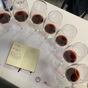 Journey through diversity of Brunello di Montalcino among soils, terroir, wine eras and producers