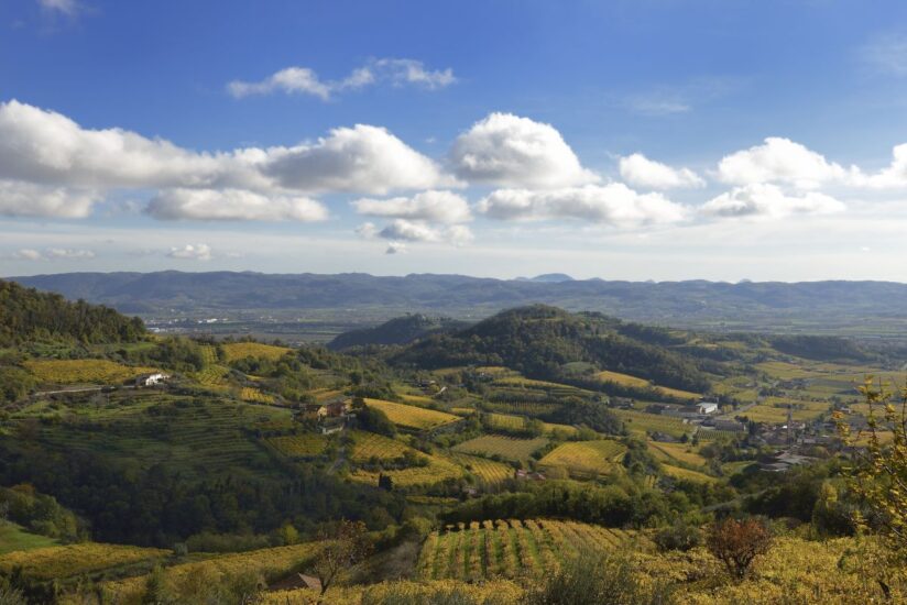 Zonin 1821, uno dei gruppi del vino più articolati e rilevanti dell’Italia enoica