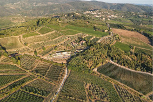 I Quaderni di WineNews - Il Chianti Classico