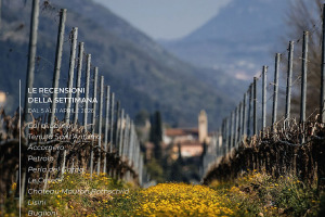 I Vini di WineNews - N. 409