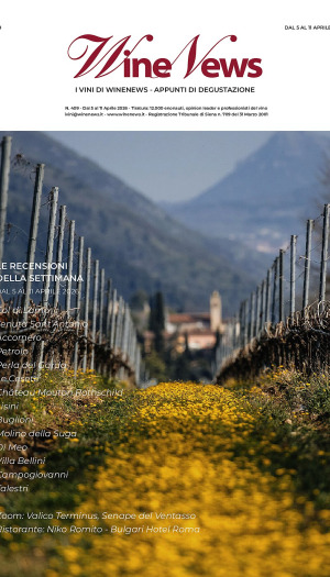 I Vini di WineNews