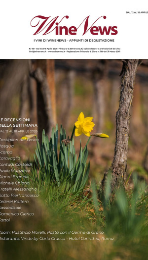 I Vini di WineNews