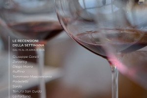 I Vini di WineNews - N. 411