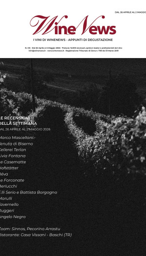 I Vini di WineNews