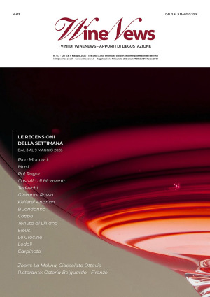 I Vini di WineNews - N. 413