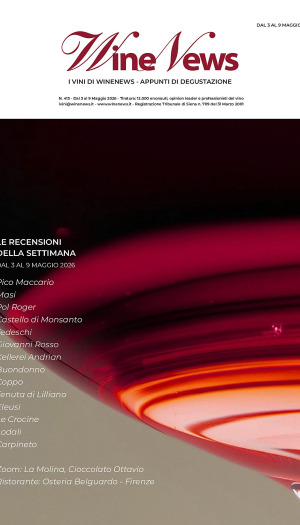 I Vini di WineNews