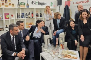 &ldquo;Stop temporaneo ai nuovi impianti dei vigneti in Italia&rdquo;: la proposta di Legacoop Agroalimentare