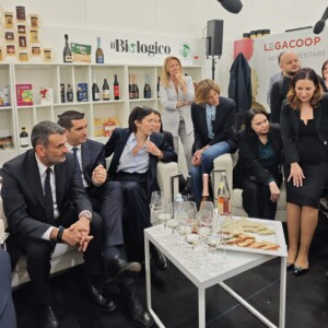 &ldquo;Stop temporaneo ai nuovi impianti dei vigneti in Italia&rdquo;: la proposta di Legacoop Agroalimentare