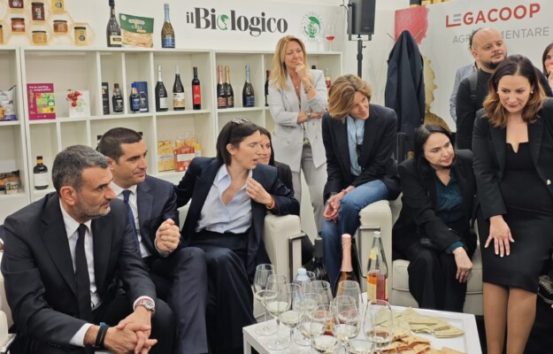 Temporary stop to new vineyard plantings in Italy: the proposal by Legacoop Agroalimentare