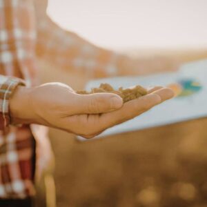 Agronomi e forestali professioni del futuro sempre pi&ugrave; richieste e con un&rsquo;occupazione oltre il 90%