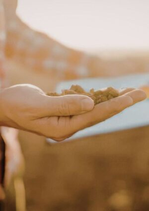 Agronomi e forestali professioni del futuro sempre pi&ugrave; richieste e con un&rsquo;occupazione oltre il 90%