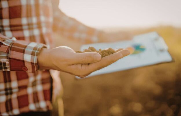 AGRICOLTURA, agroalimentare, AGRONOMI, CONAF, FIDAF, FORESTALI, PROFESSIONI, Non Solo Vino