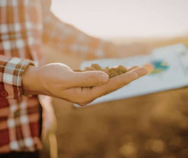 Agronomi e forestali professioni del futuro sempre pi&ugrave; richieste e con un&rsquo;occupazione oltre il 90%