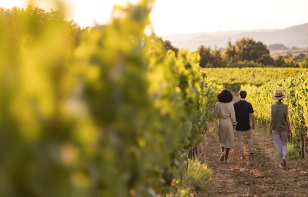 CANTINE, DIGITALE, DNA TASTING, ENOTURISMO, ENOTURISTI, TURISMO DEL VINO, Italia